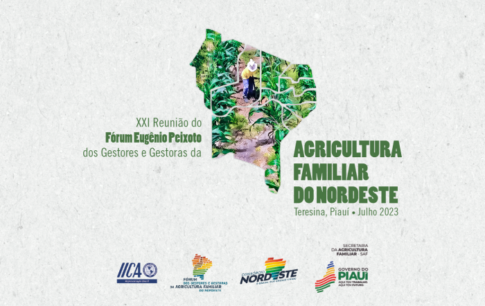 Foto: Reprodução/Secom Piauí