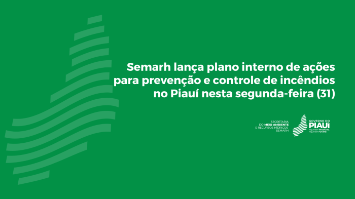 Foto: Reprodução/Secom Piauí