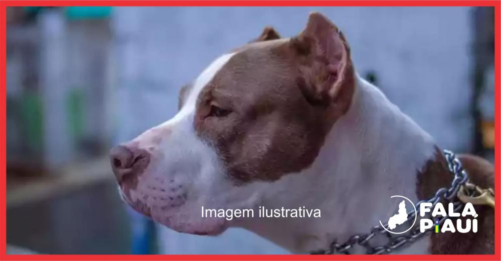 Imagem ilustrativa
