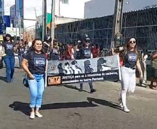 (Foto: Reprodução)