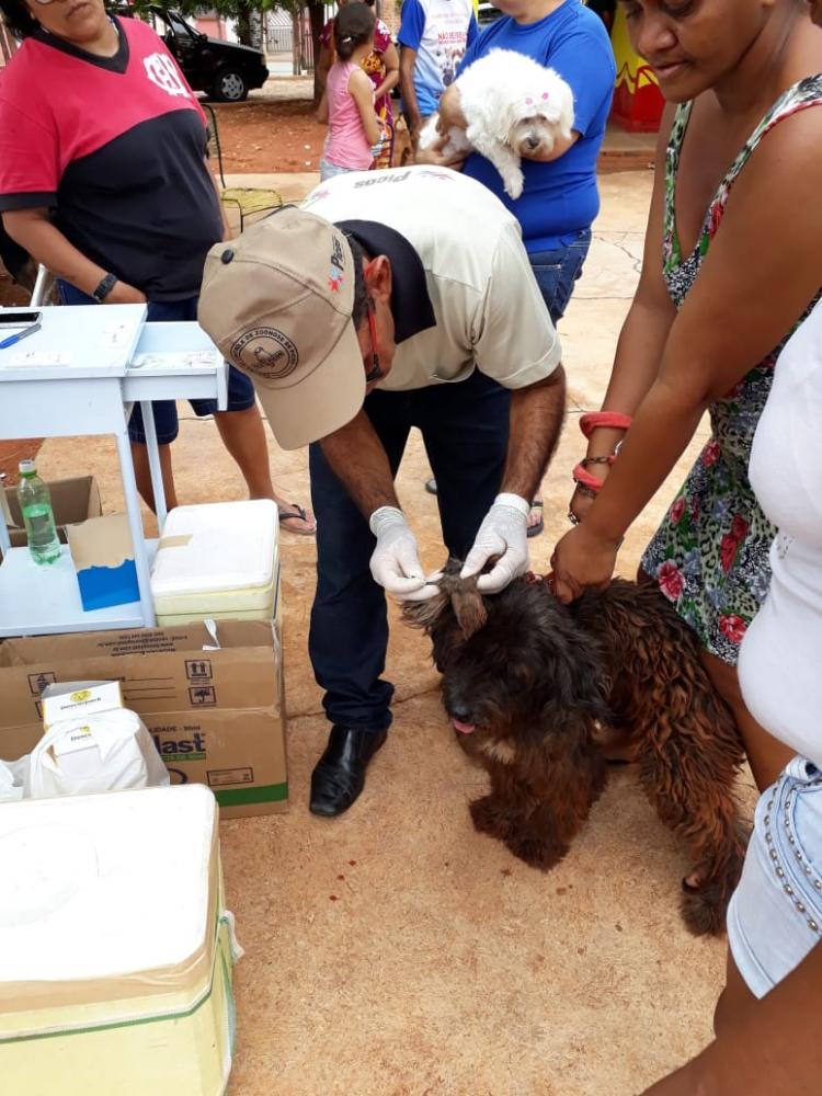 Vacinação no Bairro Morada Nova
