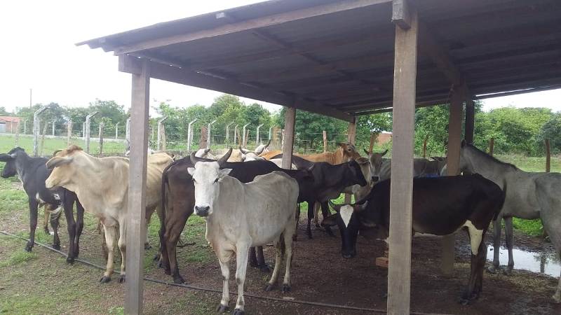 Curral da Correição de Cabeceiras