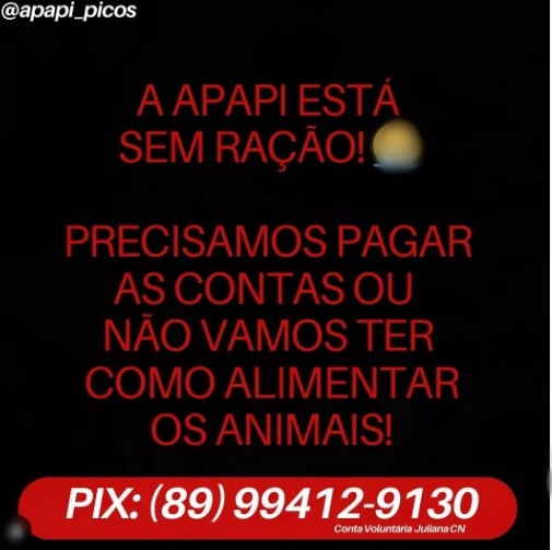 (Foto: Divulgação)