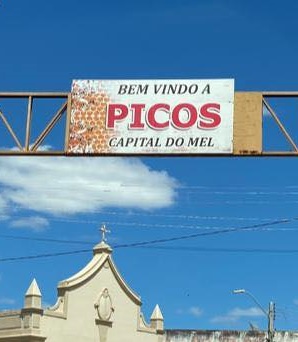 (Foto: Reprodução)
