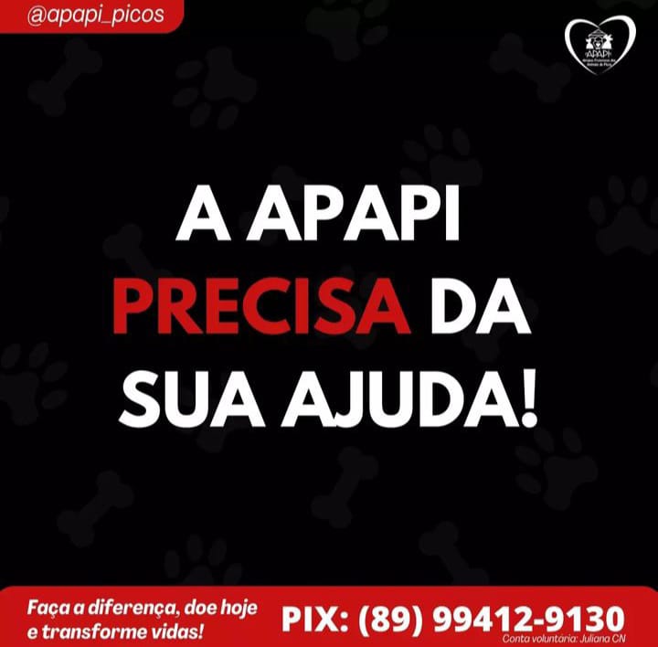 (Foto: Divulgação)
