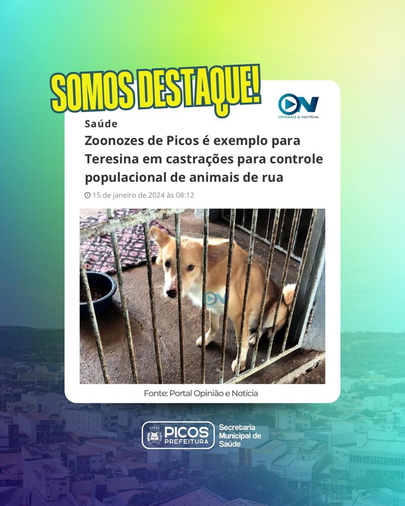 (Foto: Reprodução)
