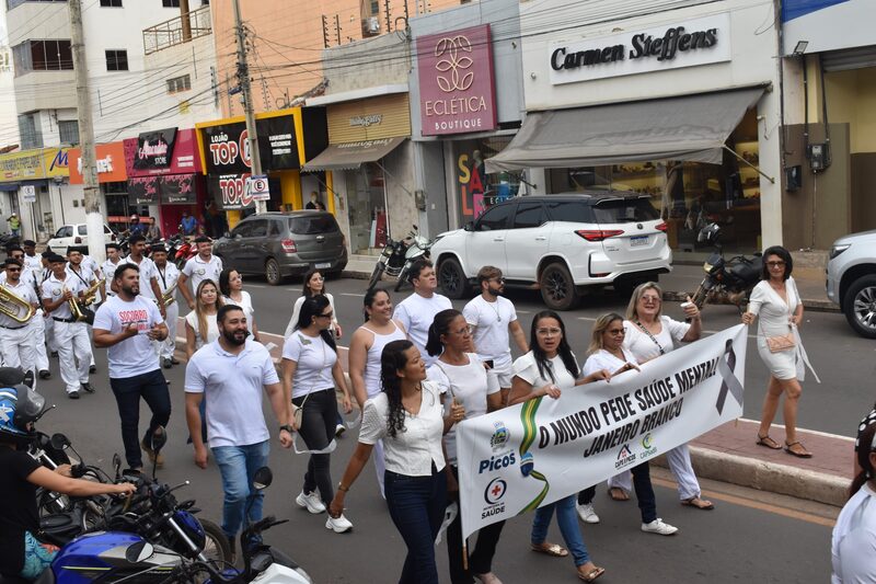 Caminhada em alusão à Campanha do Janeiro Branco (Foto: Rawena Sousa)