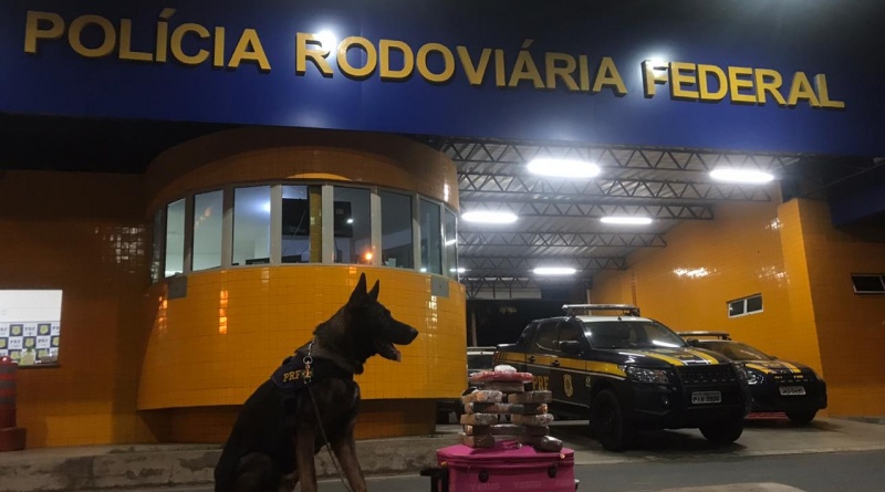 Foto: Divulgação / PRF