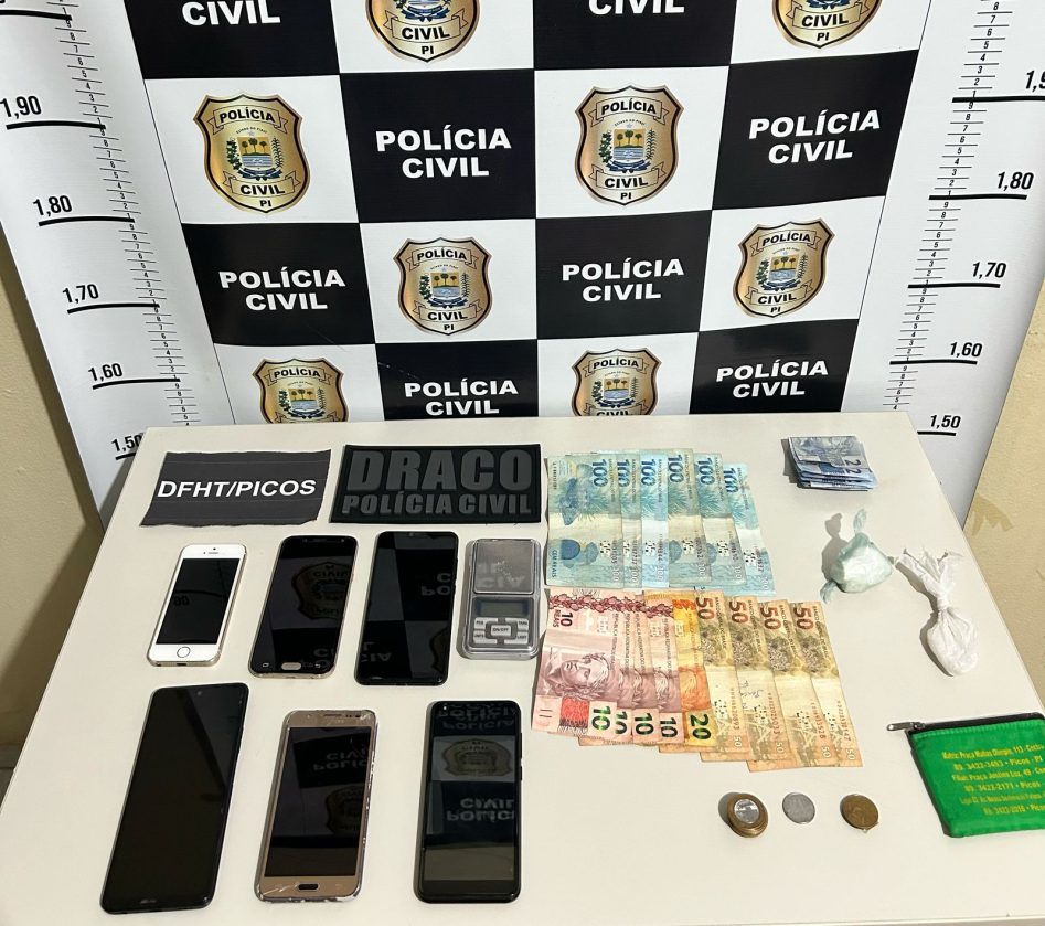 Apreensões (Foto: Polícia Civil)