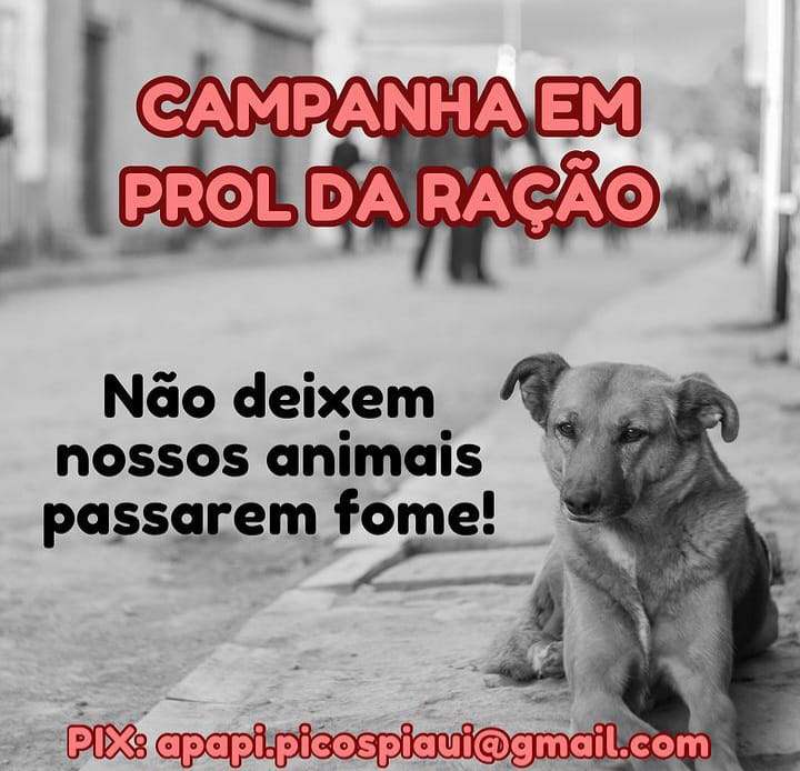 (Foto: Reprodução)