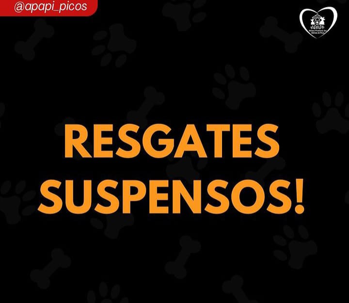 (Foto: Reprodução)