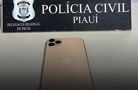 (Foto: Divulgação/ Polícia Civil)