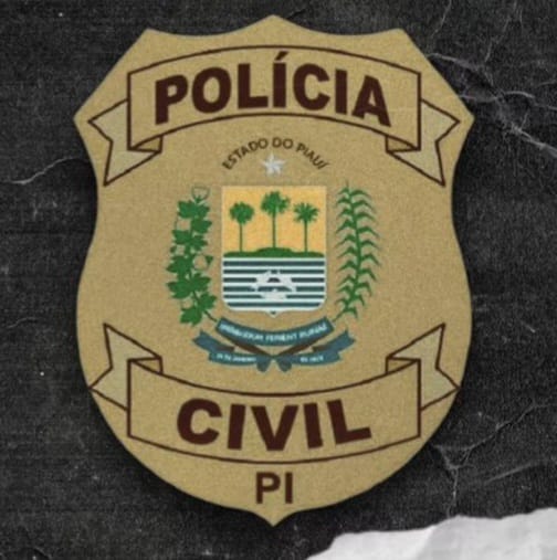 (Foto: Reprodução)