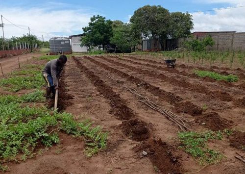 Trabalho de campo (Foto: Reprodução)