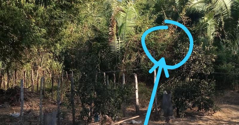 Foto sede das redes.