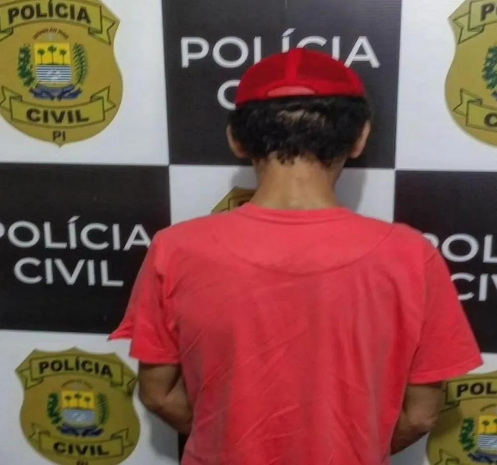 (Foto: Divulgação/Polícia Civil)