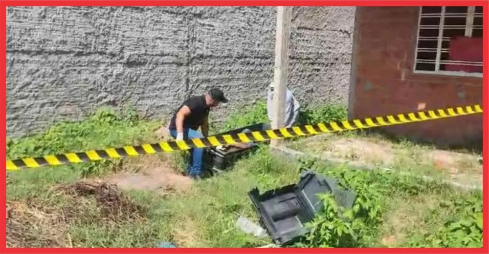 Foto: Reprodução
