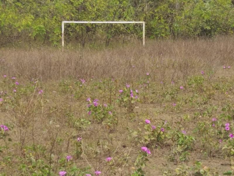 Campo abandonado em Curralinhos (Foto: FalaPiauí)