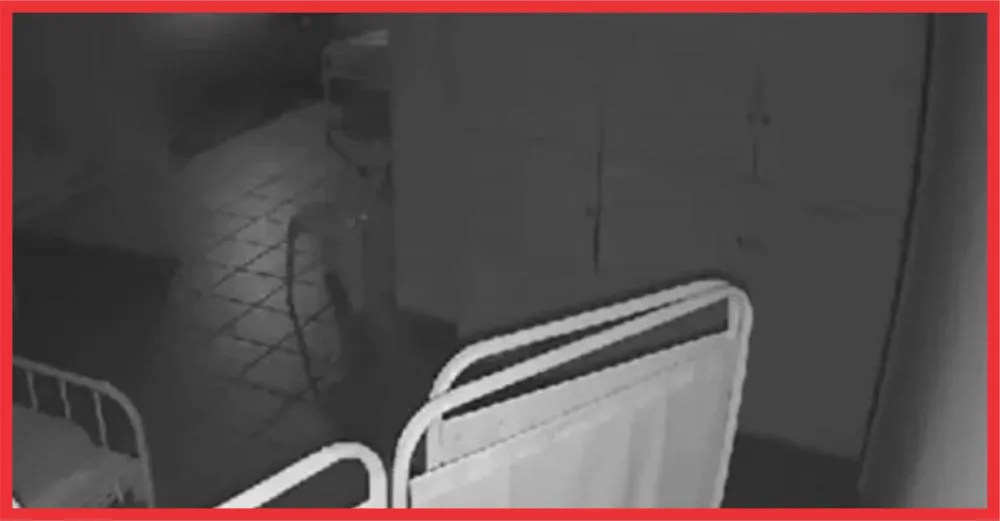 Mulher é sedada e estuprada por vigilante em clínica de saúde mental