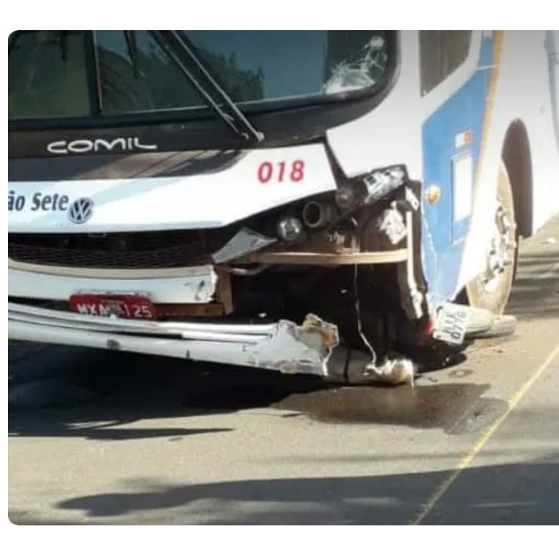 Fotos divulgação .