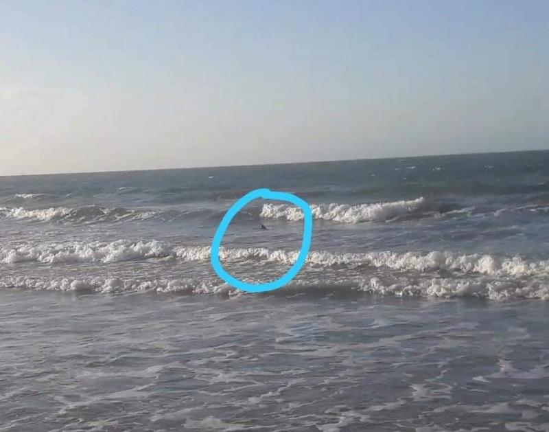 Imagem do primeiro vídeo no início da semana.