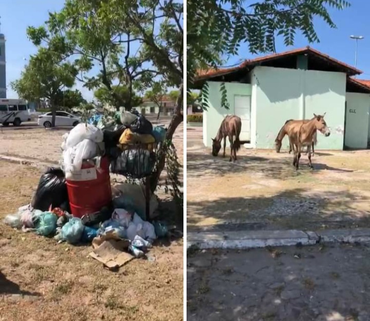 Fotografia divulgadas nas redes sociais em grupos de Whatsapp 