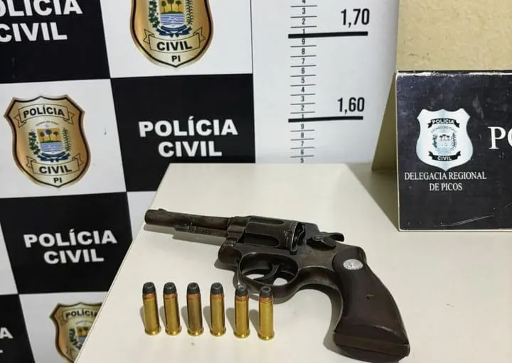 (Foto: Divulgação/ Polícia Civil)