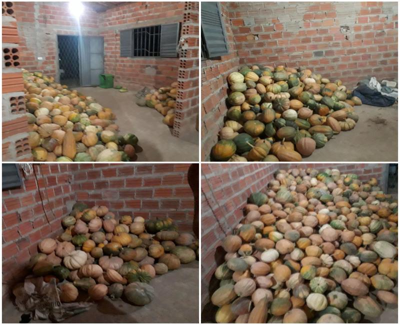 Foto reprodução 