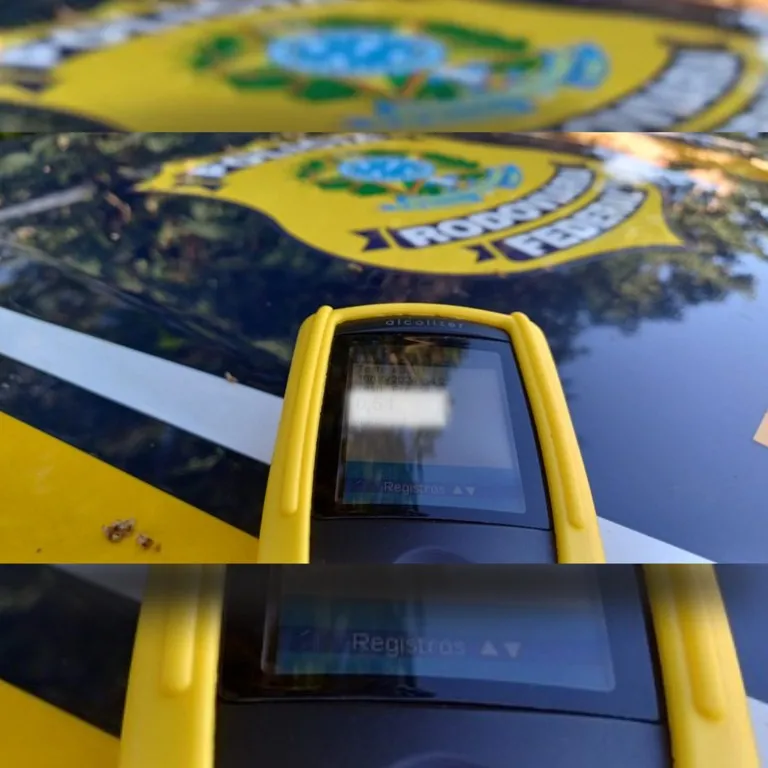 (Foto: Divulgação/ PRF)