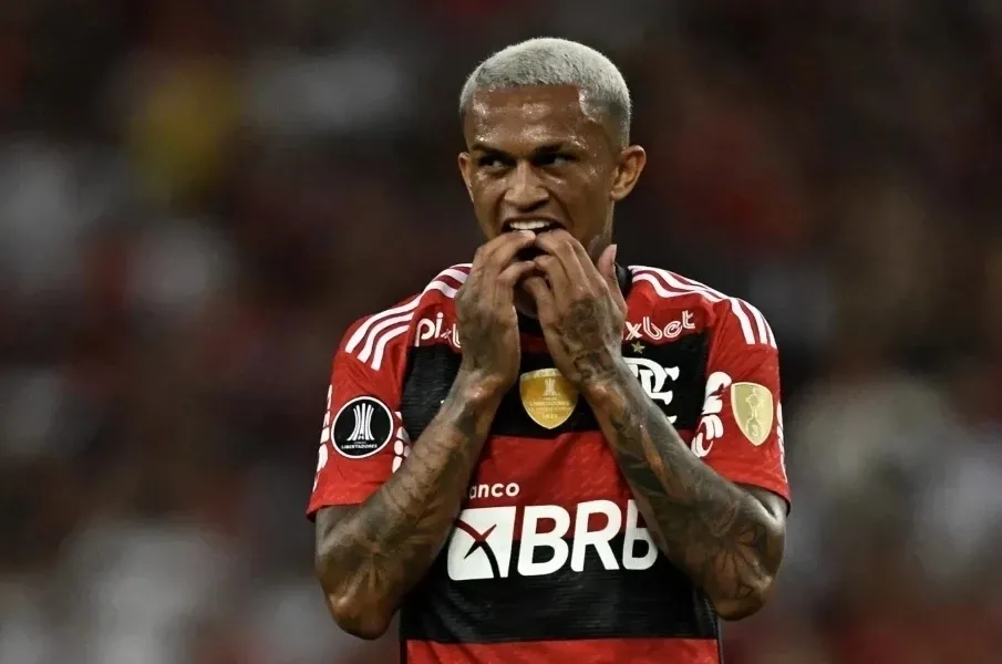 reprodução