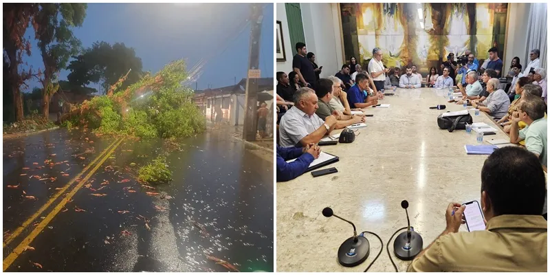 reprodução