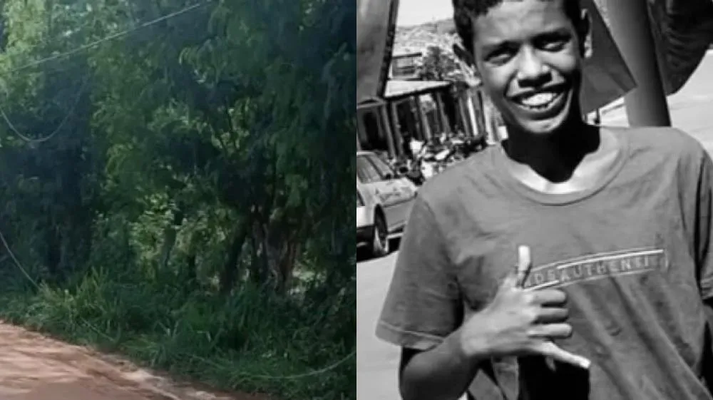 reprodução