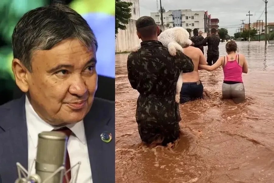 reprodução