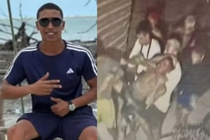 reprodução