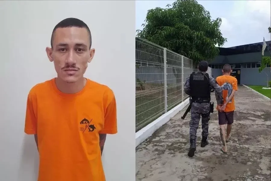 reprodução