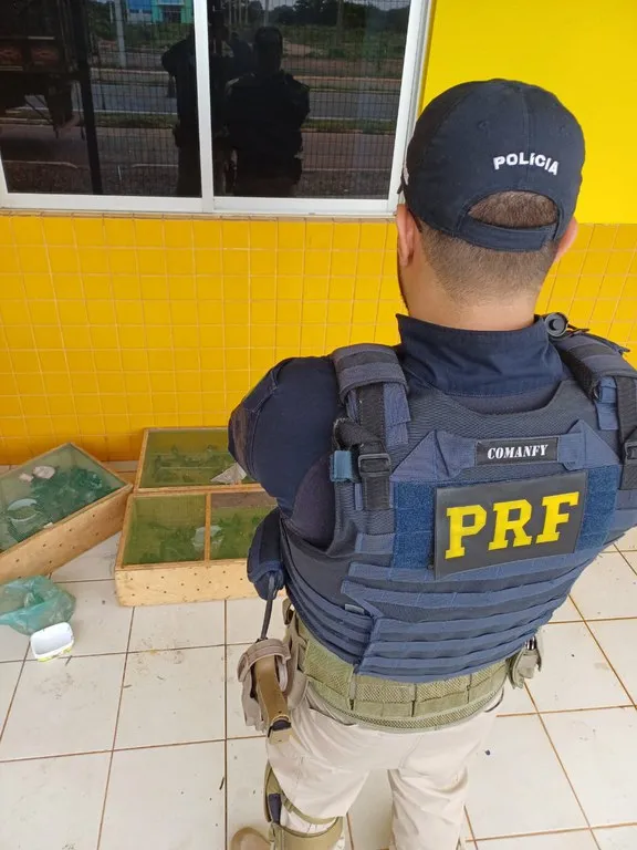 (Foto: Divulgação/ PRF)