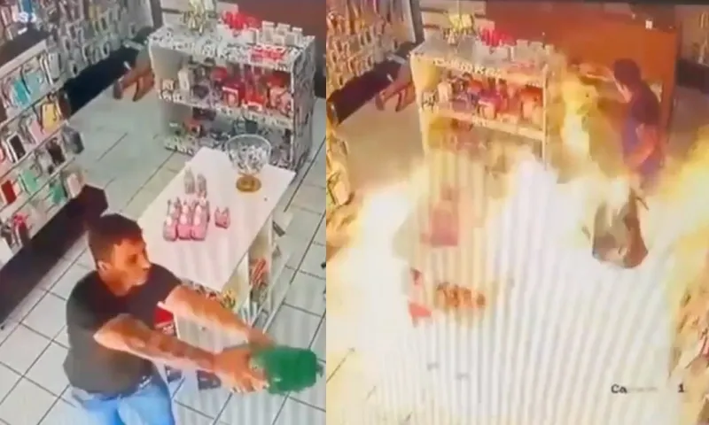 reprodução