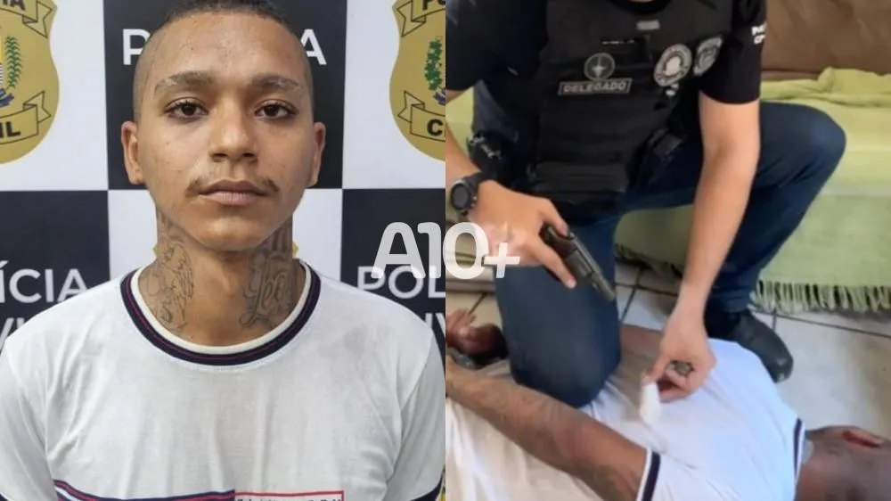 reprodução