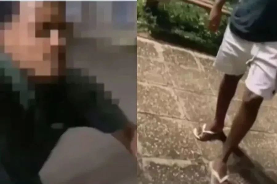 reprodução