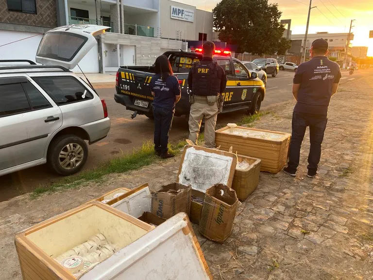 (Foto: Divulgação/ PRF)