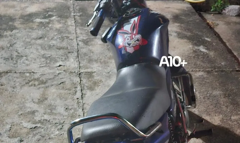 reprodução