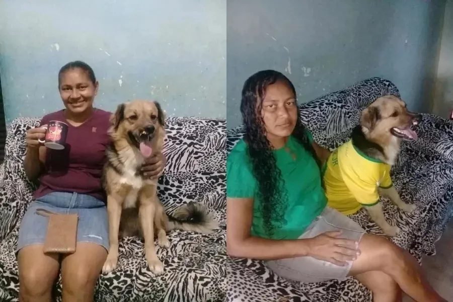 reprodução