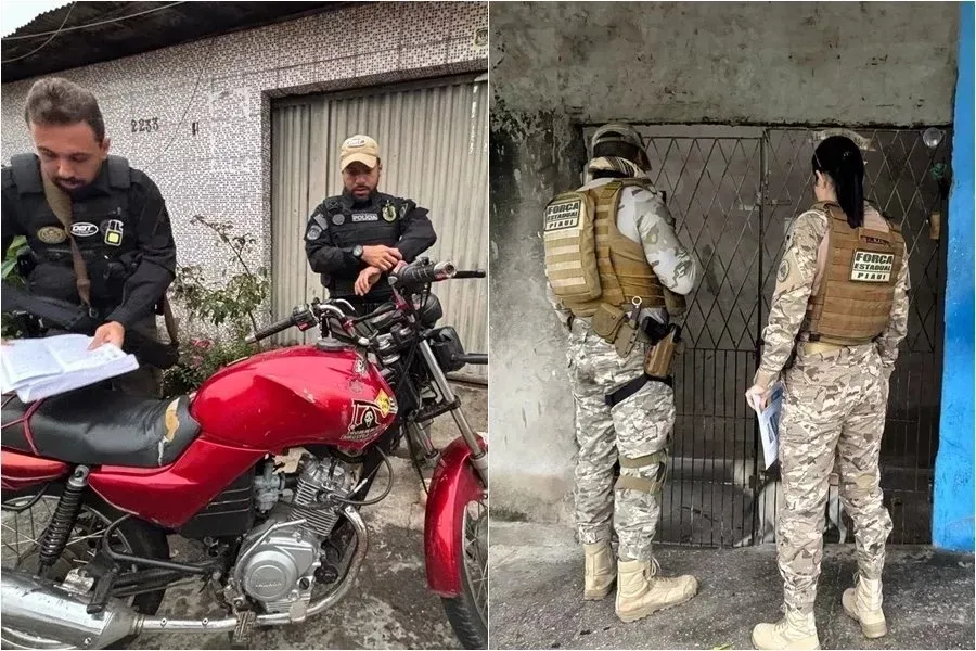 reprodução