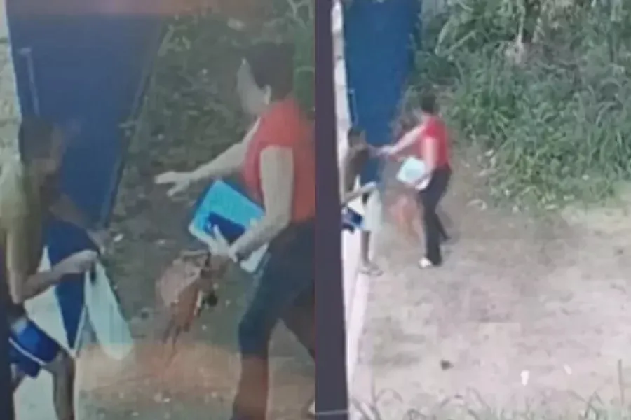 reprodução