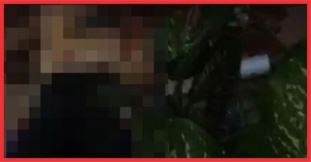 Foto: Reprodução