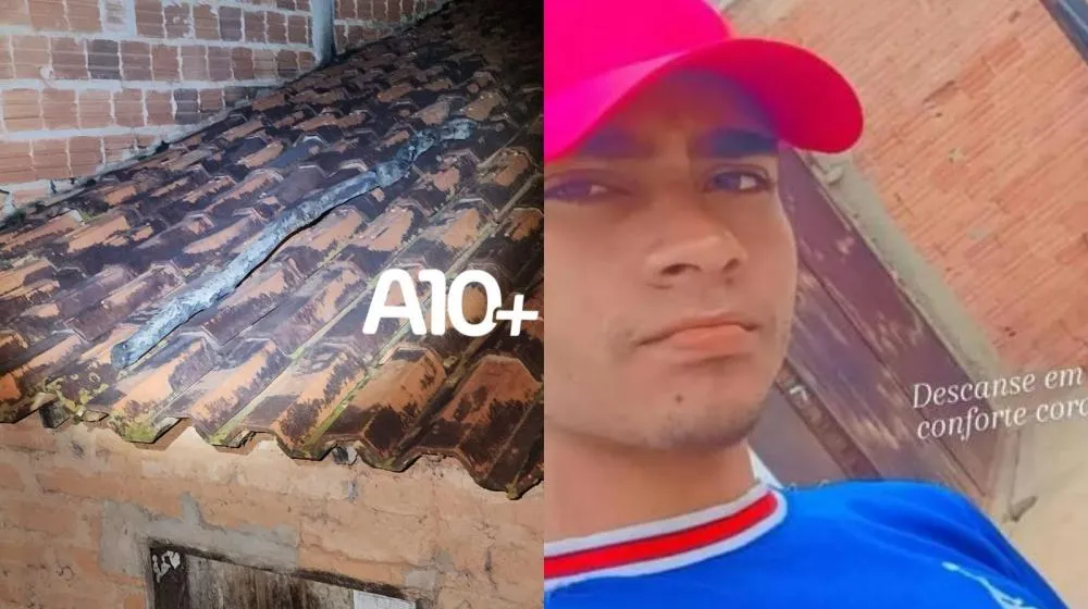 reprodução