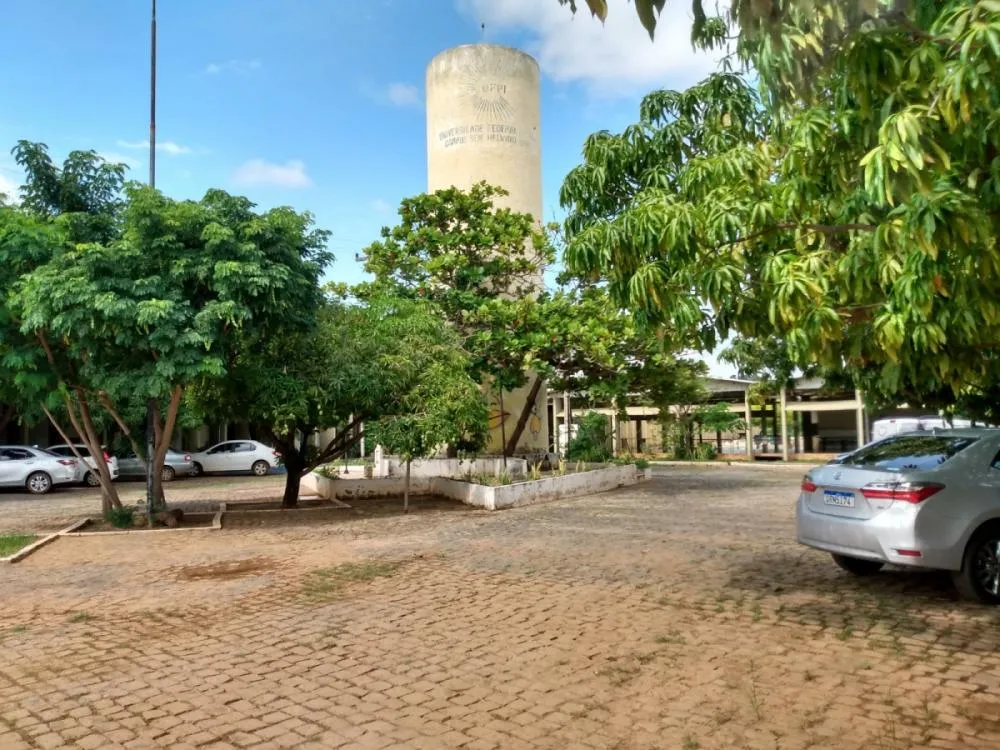 (Foto: Reprodução)
