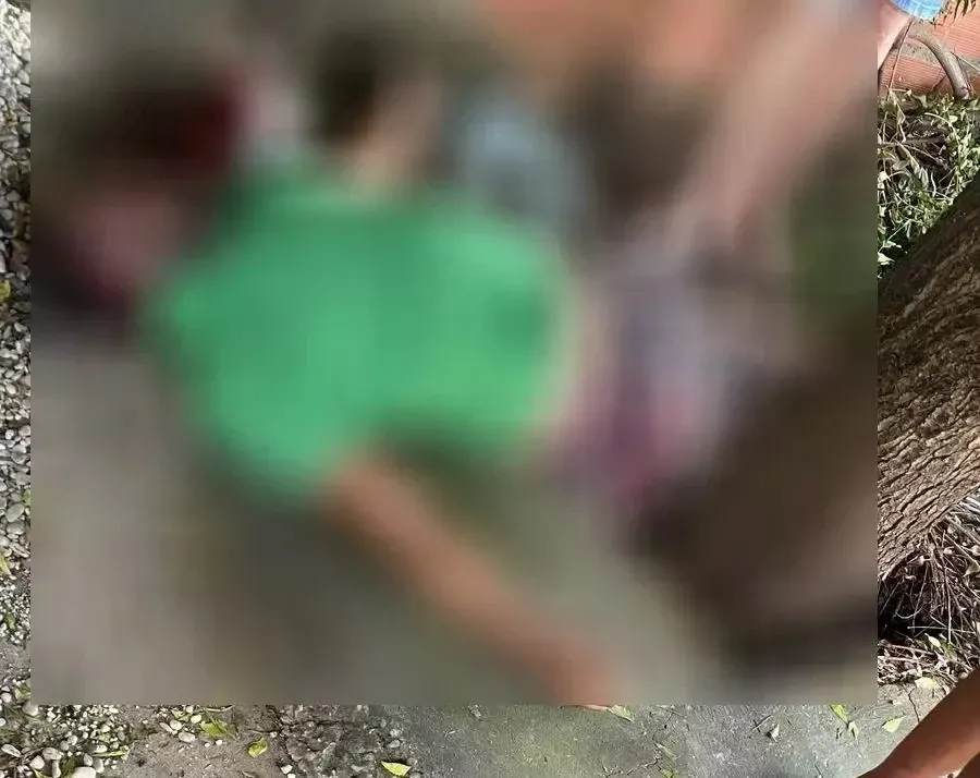 reprodução