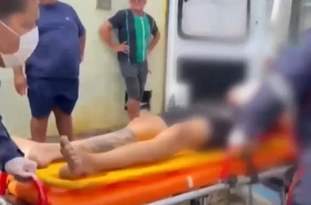 reprodução