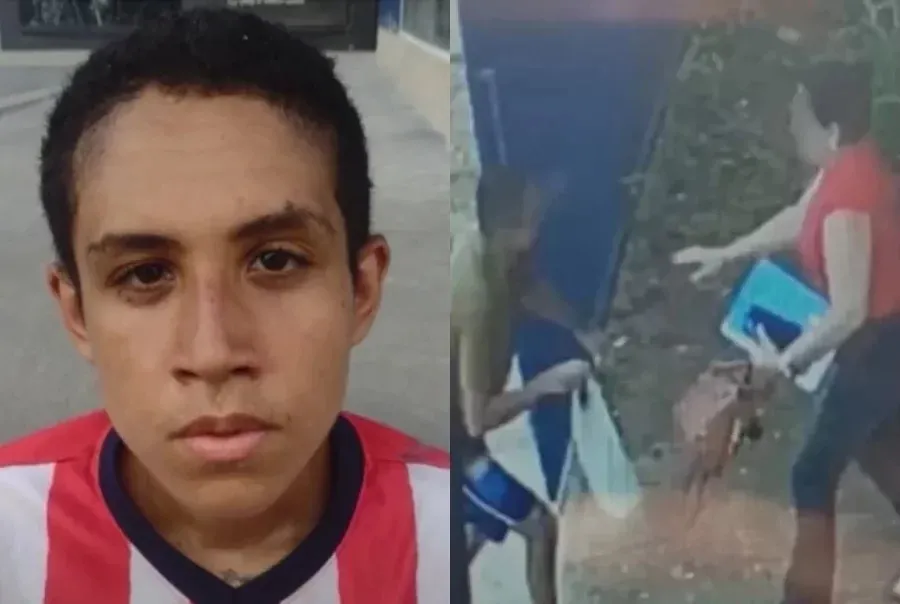 reprodução